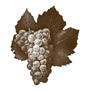 Chardonnay